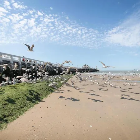 アパート In With Sea Views ブランケンベルヘ