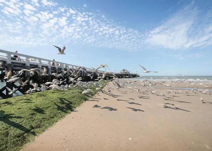 Lägenhet In With Sea Views Blankenberge